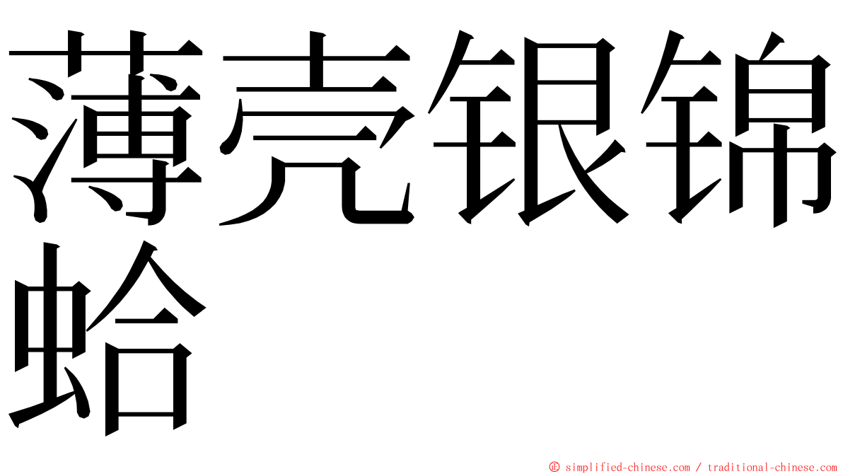 薄壳银锦蛤 ming font