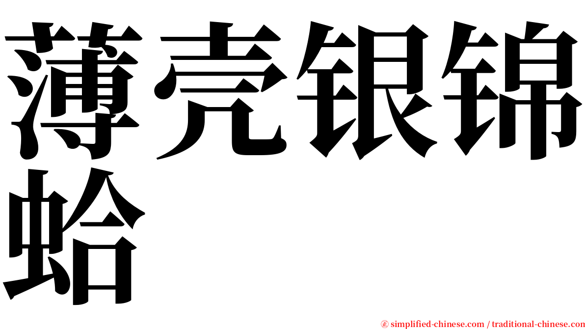 薄壳银锦蛤 serif font