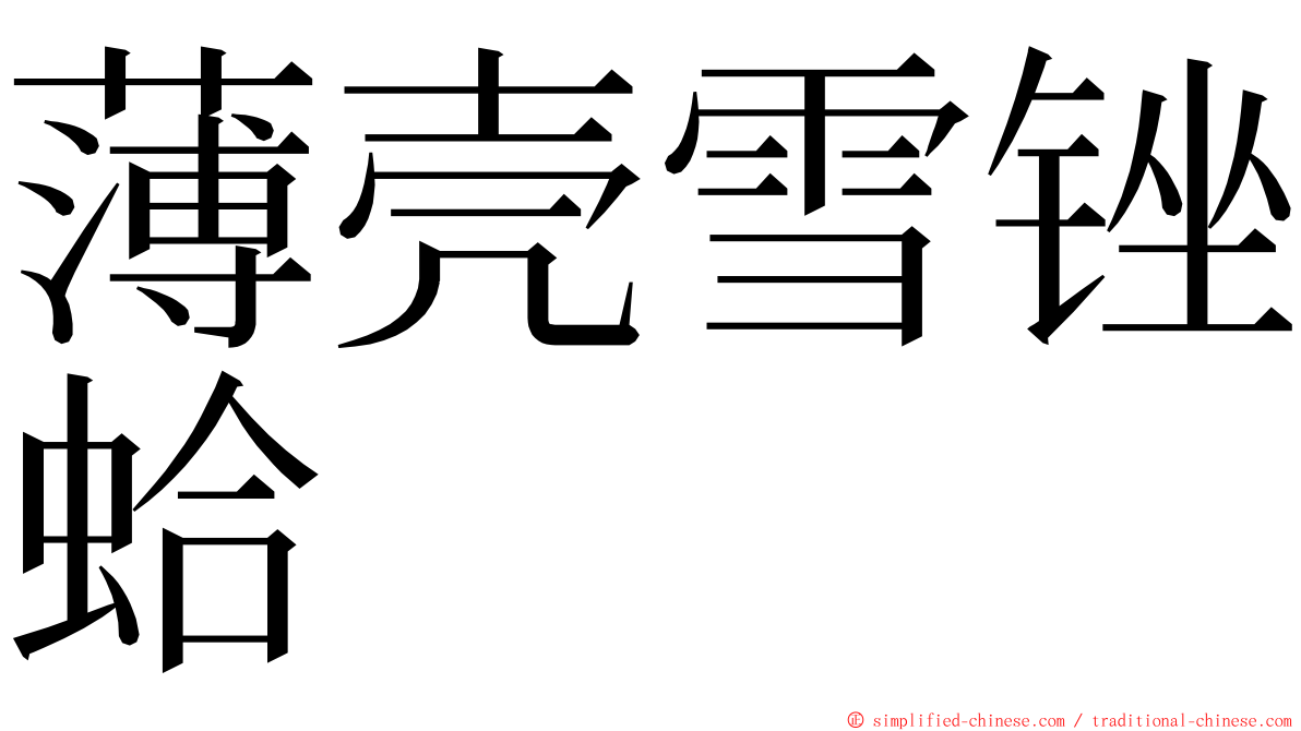 薄壳雪锉蛤 ming font