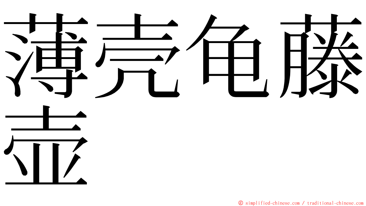 薄壳龟藤壶 ming font