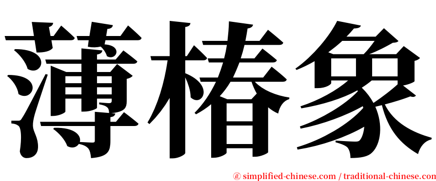 薄椿象 serif font