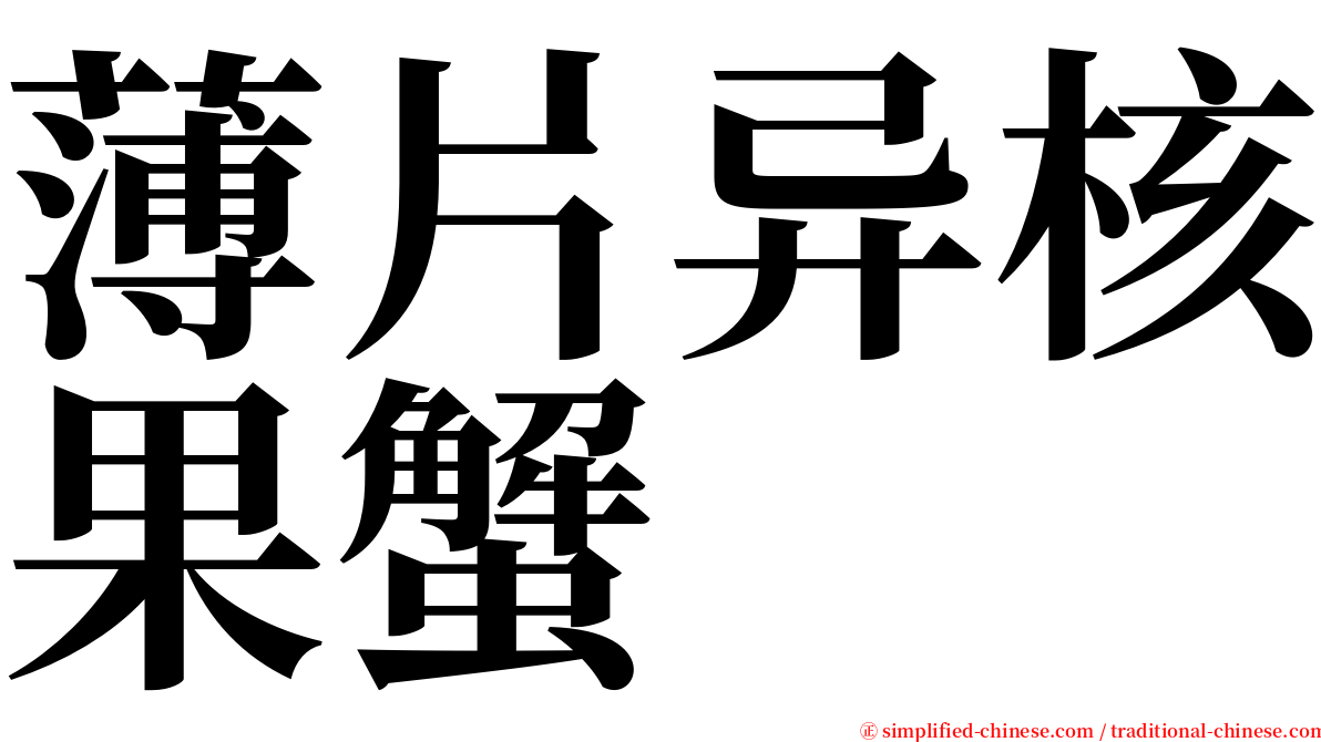 薄片异核果蟹 serif font