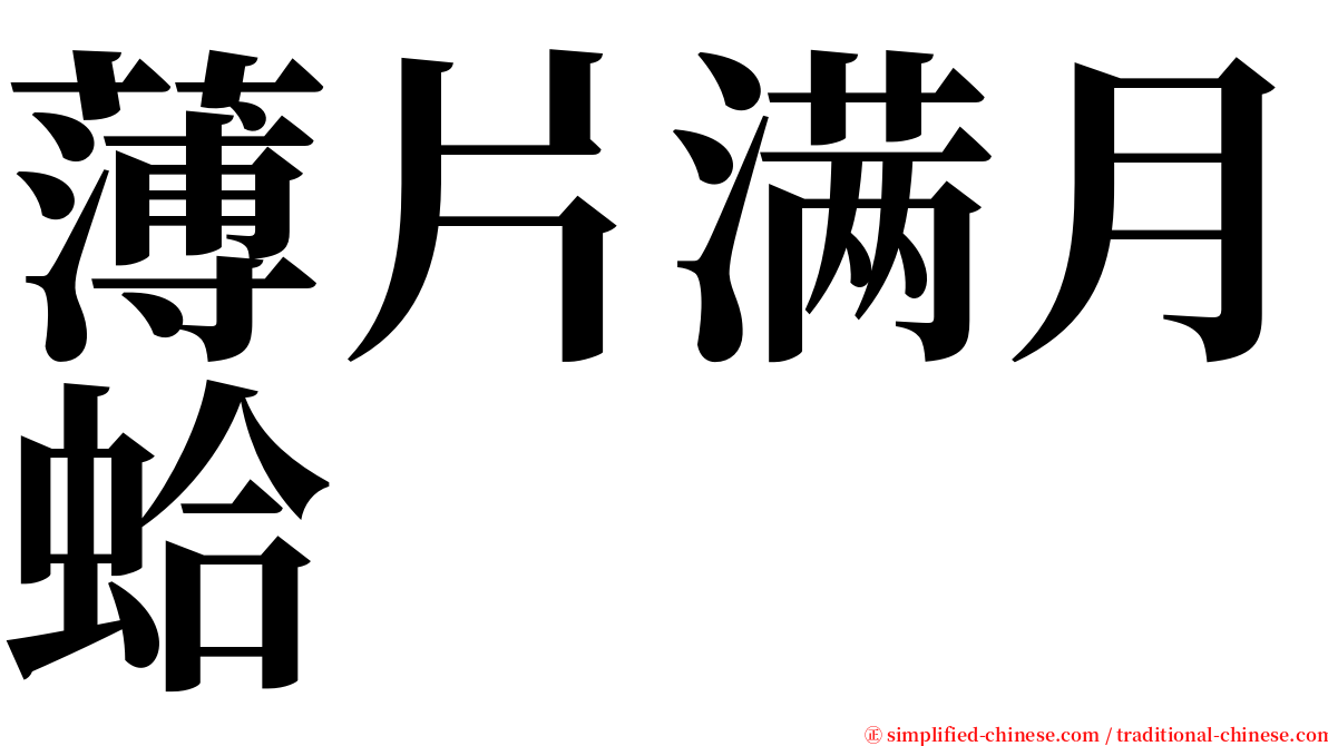 薄片满月蛤 serif font