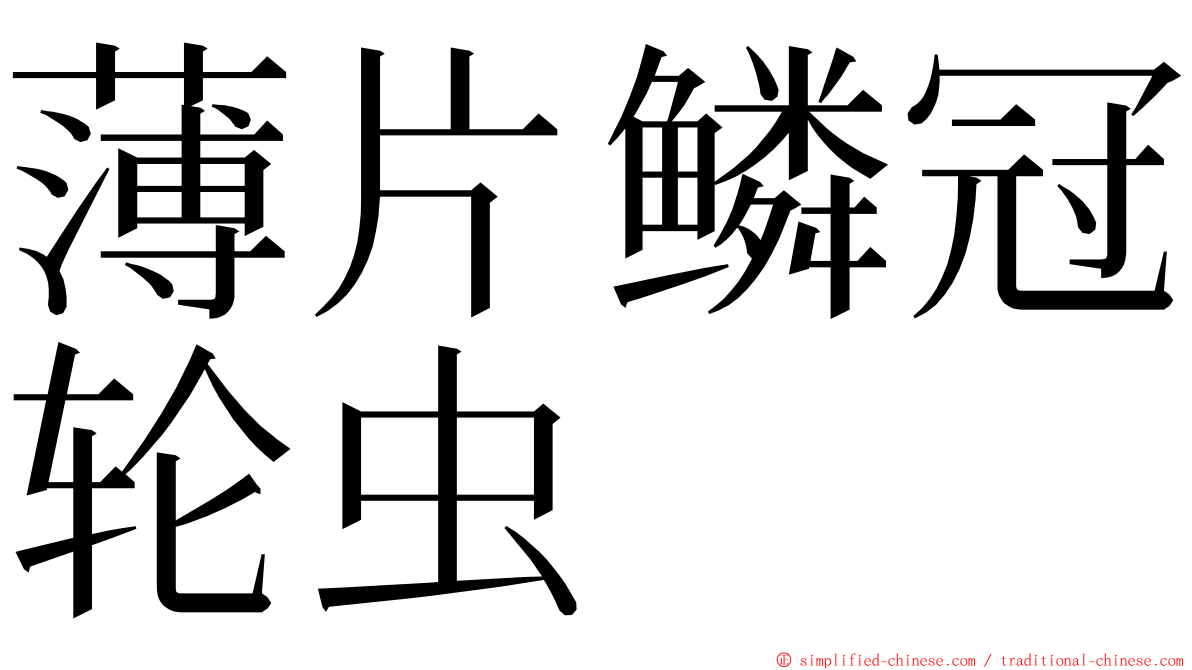 薄片鳞冠轮虫 ming font