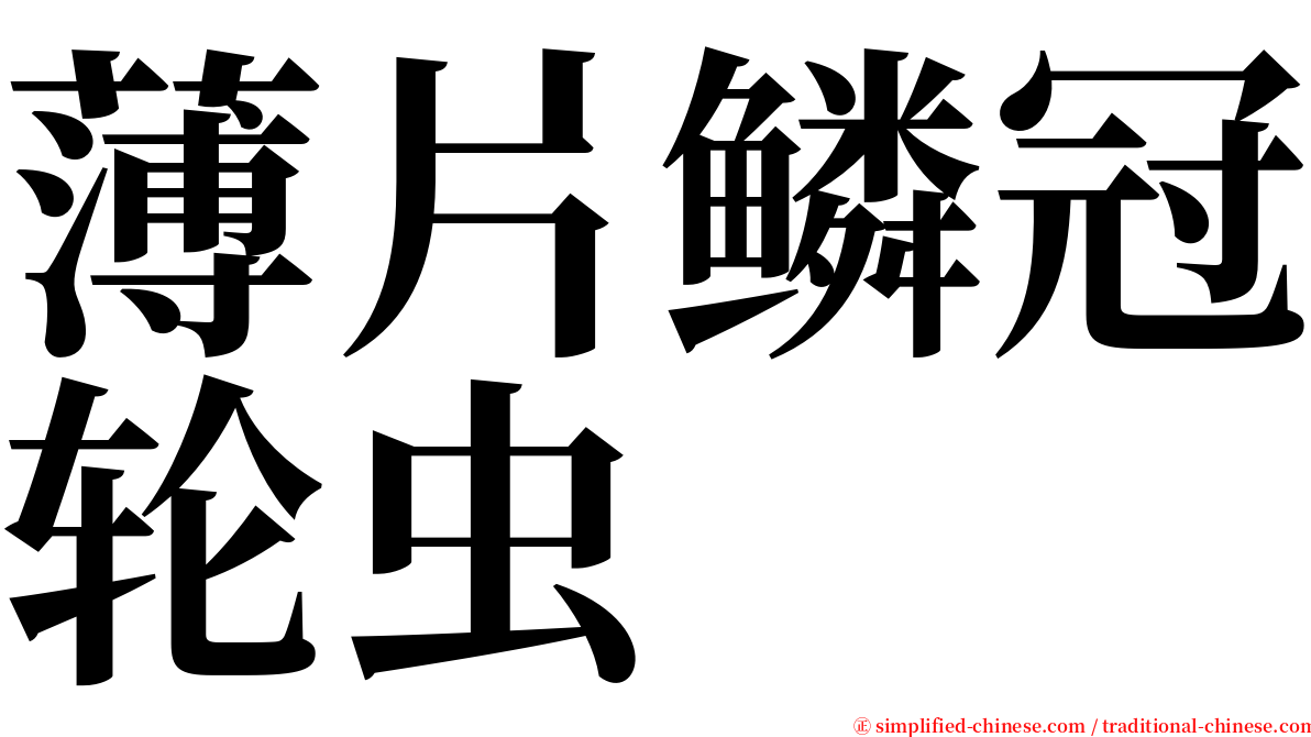 薄片鳞冠轮虫 serif font