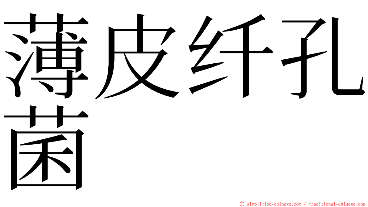 薄皮纤孔菌 ming font