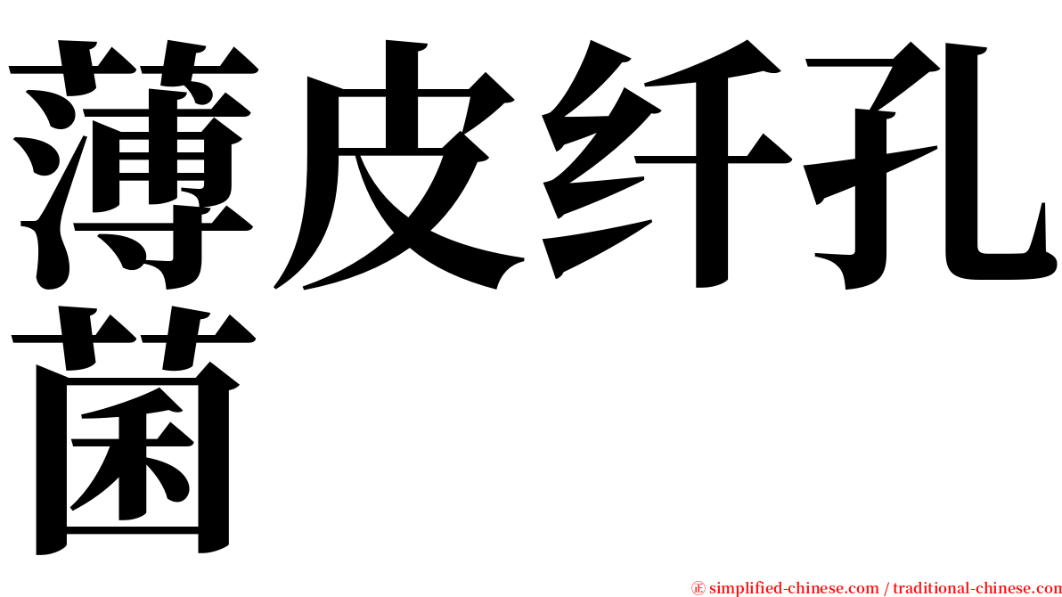 薄皮纤孔菌 serif font