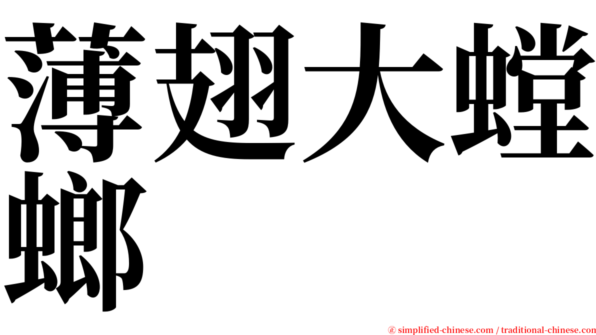 薄翅大螳螂 serif font