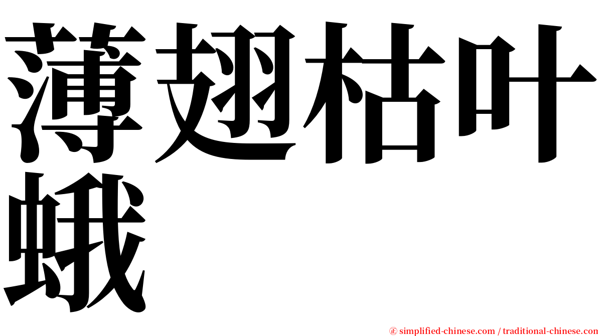 薄翅枯叶蛾 serif font