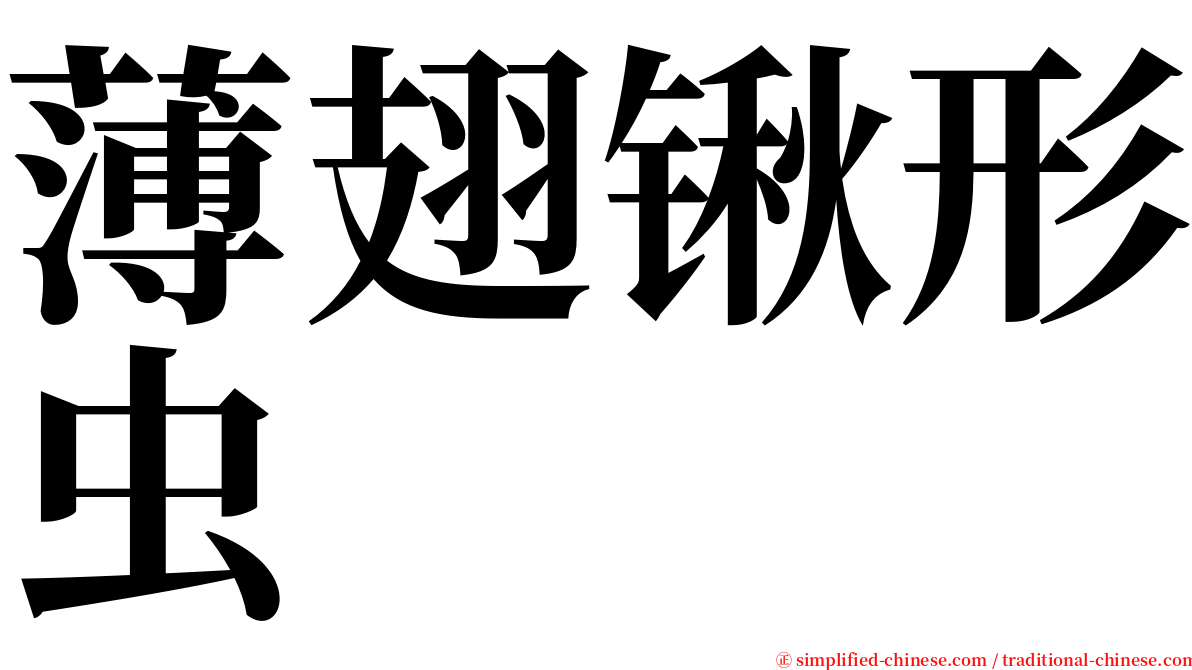 薄翅锹形虫 serif font