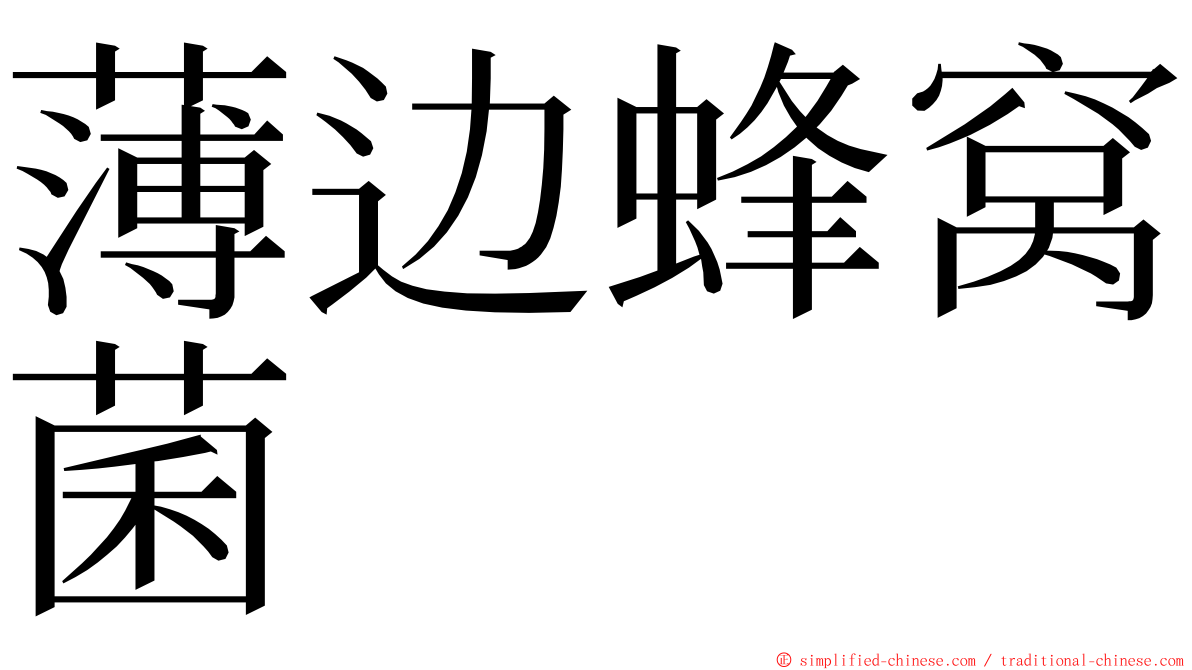 薄边蜂窝菌 ming font