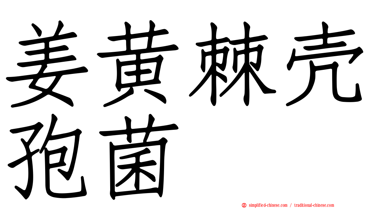 姜黄棘壳孢菌