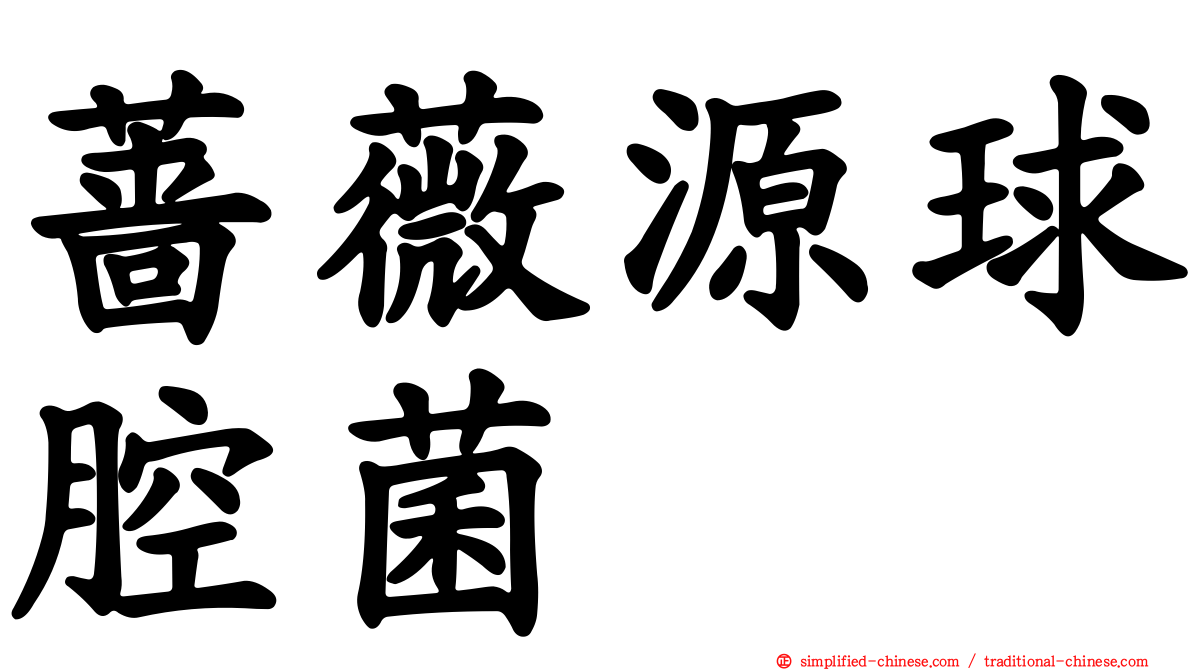 蔷薇源球腔菌