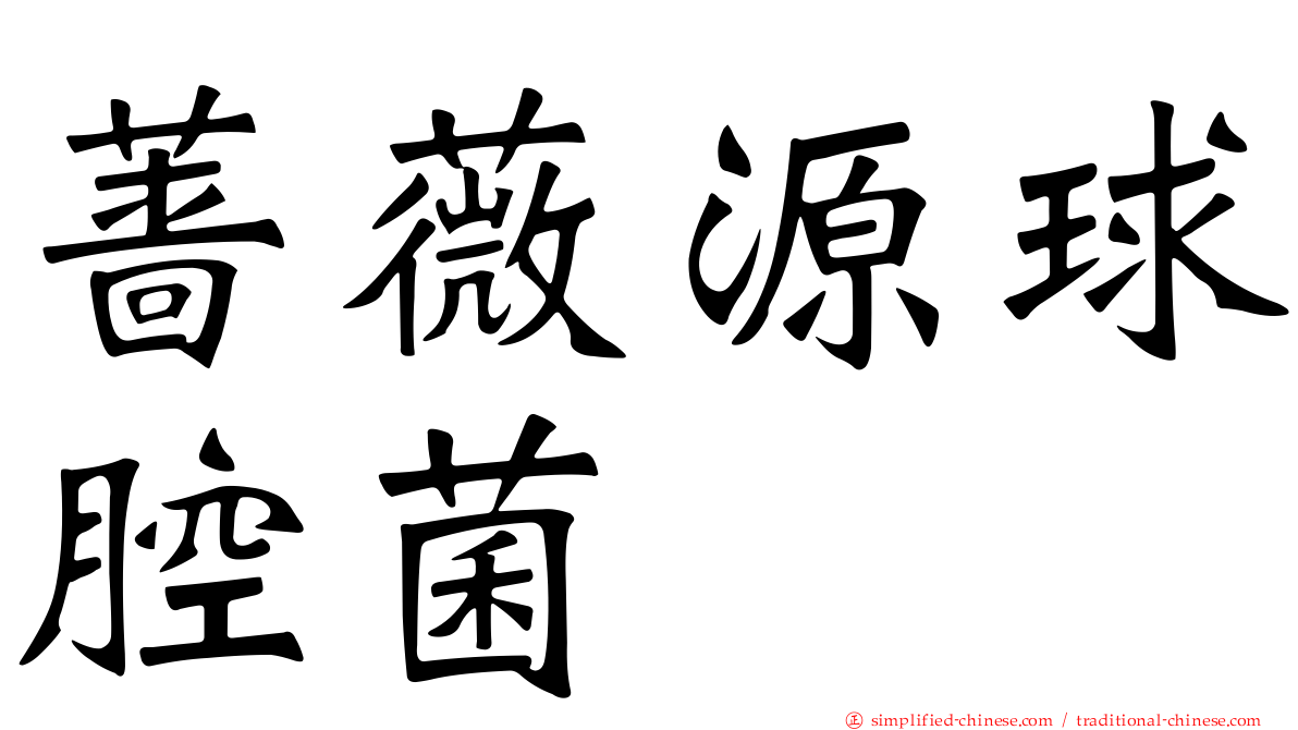 蔷薇源球腔菌