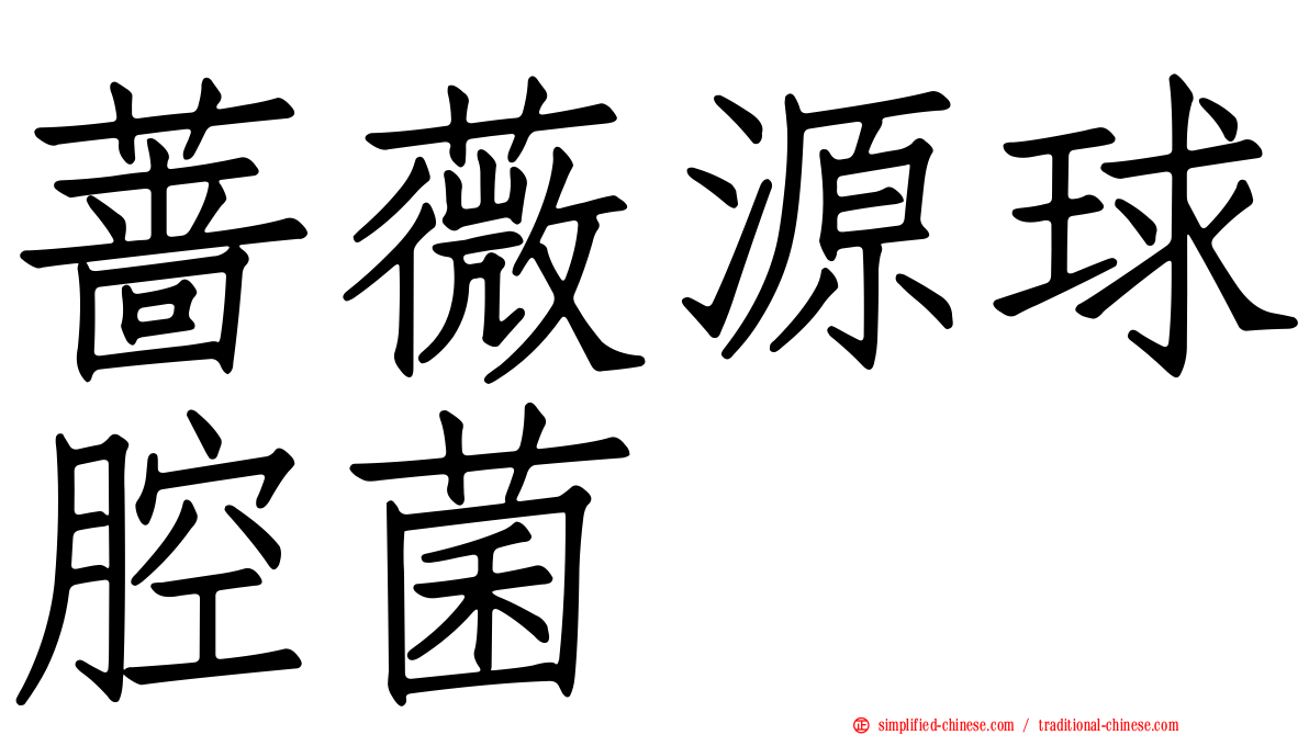 蔷薇源球腔菌
