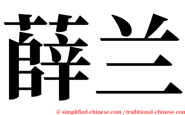 薛兰 serif font