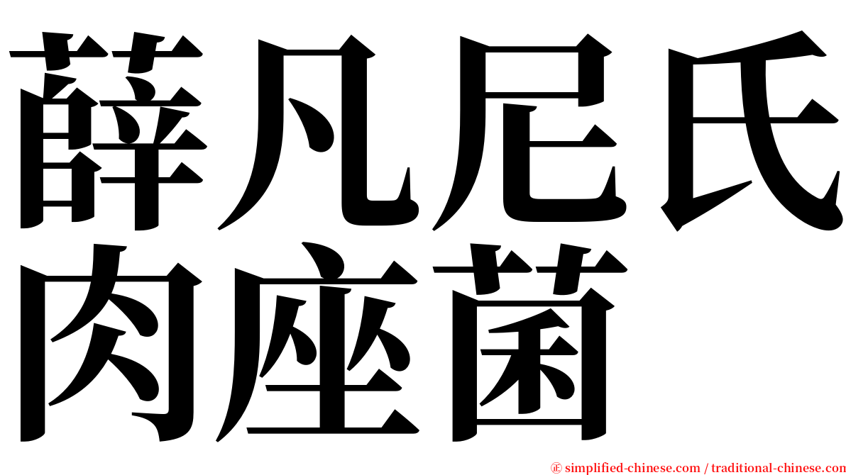 薛凡尼氏肉座菌 serif font