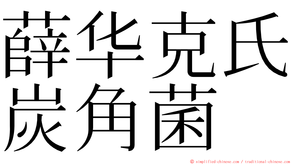 薛华克氏炭角菌 ming font