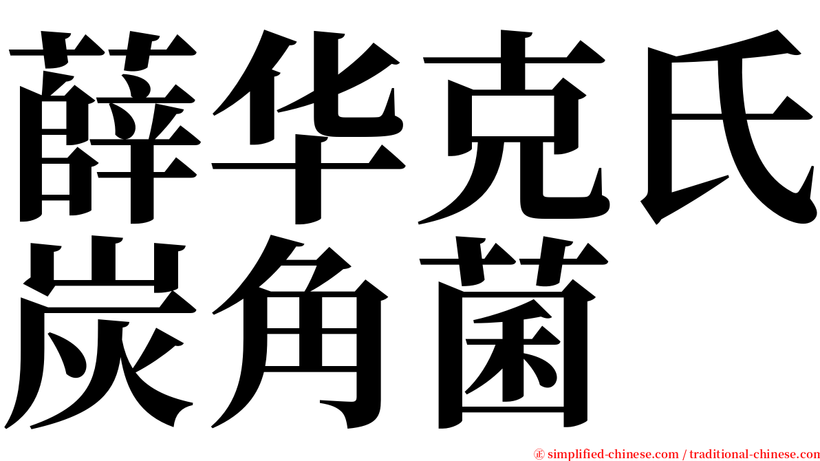 薛华克氏炭角菌 serif font