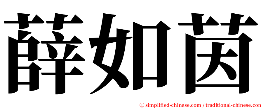 薛如茵 serif font