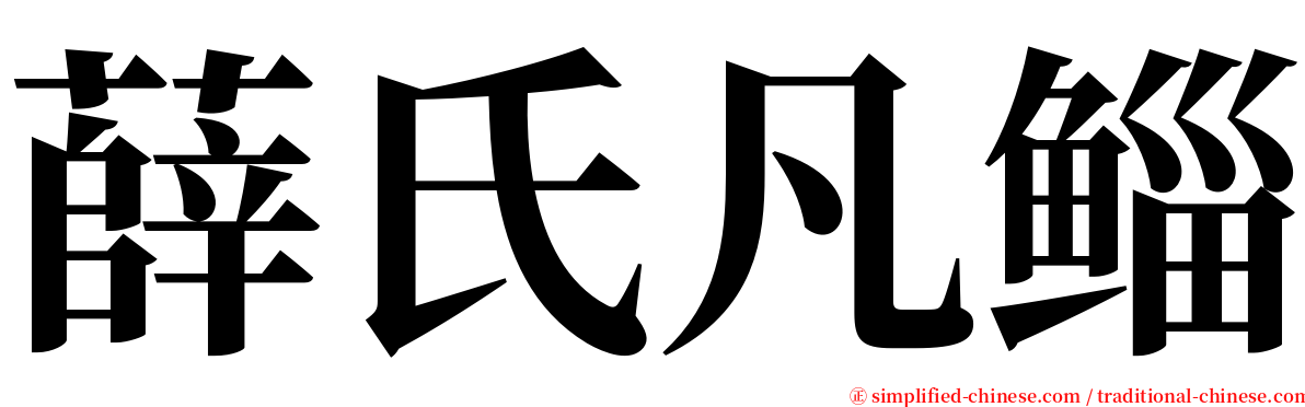 薛氏凡鲻 serif font