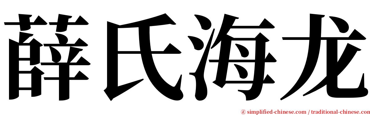薛氏海龙 serif font