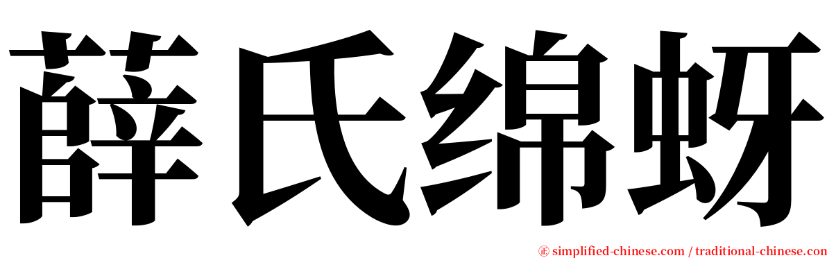 薛氏绵蚜 serif font