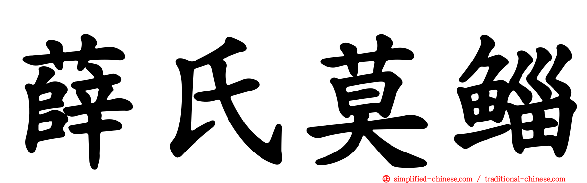 薛氏莫鲻