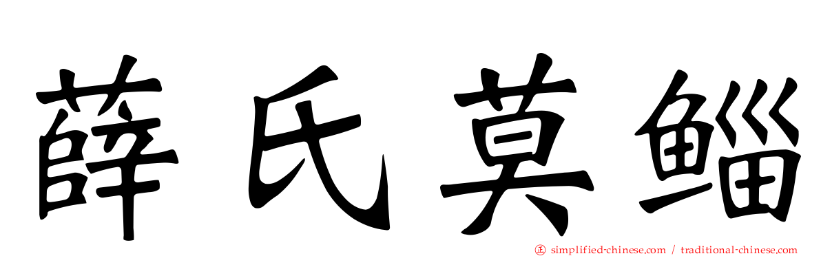 薛氏莫鲻