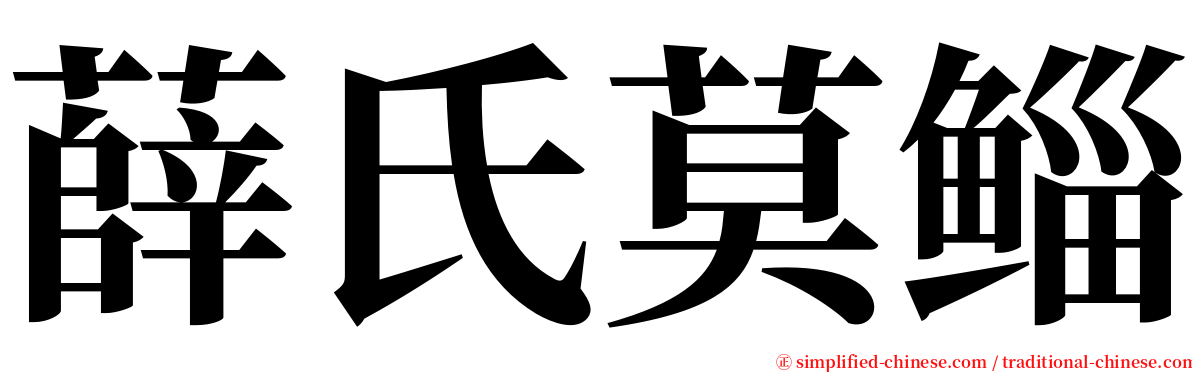 薛氏莫鲻 serif font