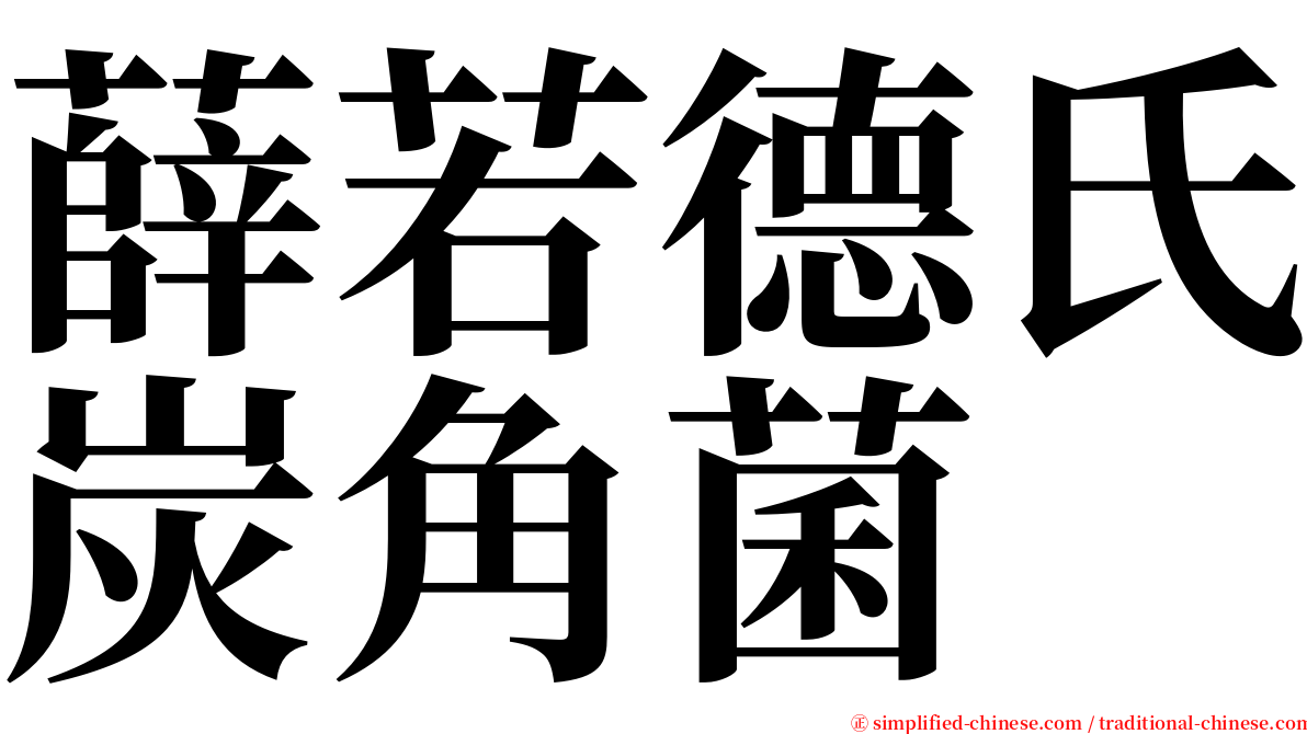 薛若德氏炭角菌 serif font