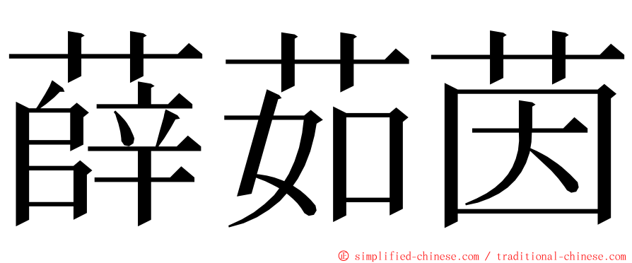 薛茹茵 ming font