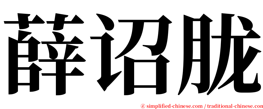 薛诏胧 serif font