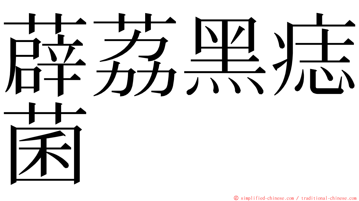 薜荔黑痣菌 ming font