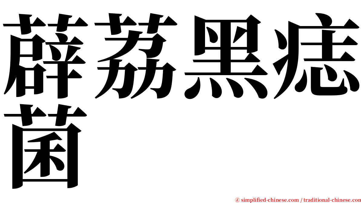 薜荔黑痣菌 serif font