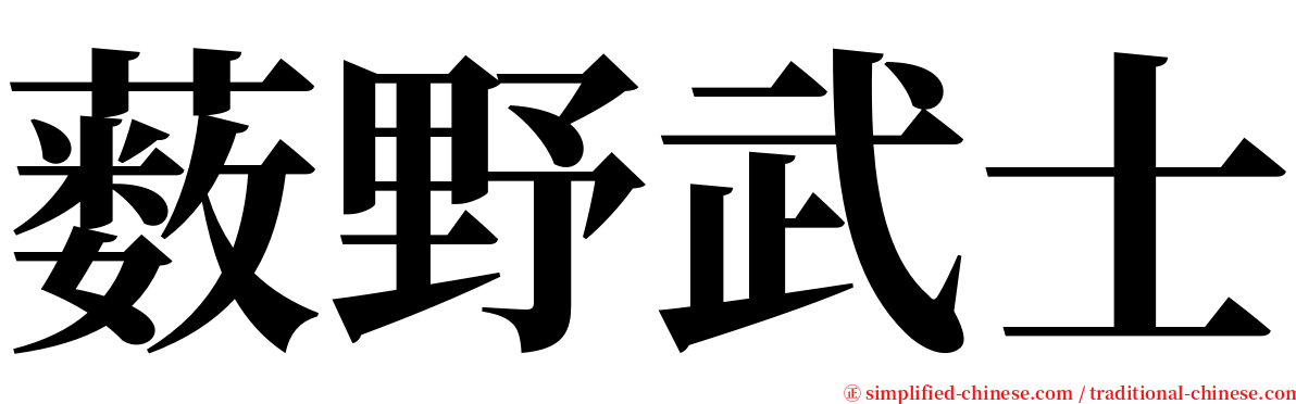 薮野武士 serif font