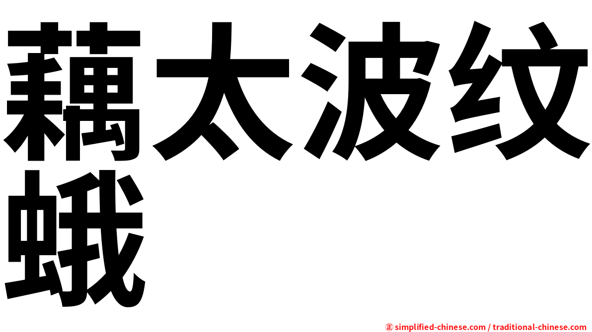 藕太波纹蛾