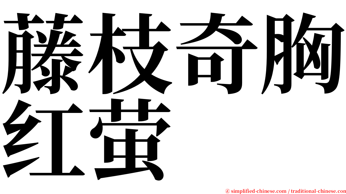 藤枝奇胸红萤 serif font