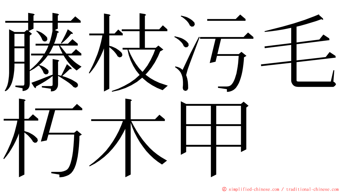 藤枝污毛朽木甲 ming font