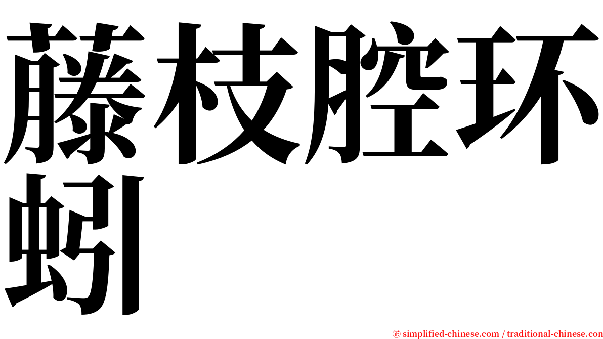 藤枝腔环蚓 serif font