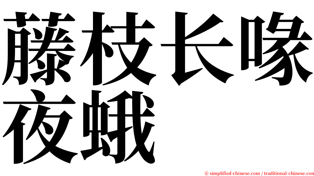 藤枝长喙夜蛾 serif font