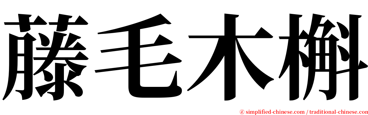 藤毛木槲 serif font