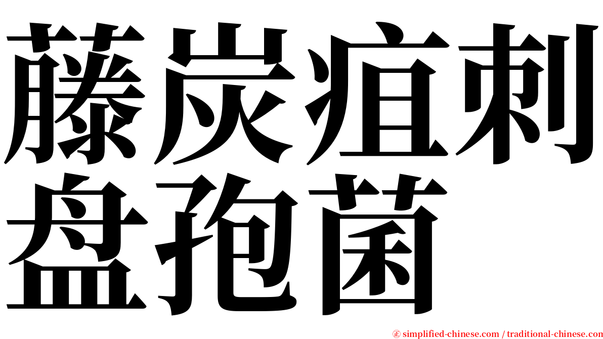 藤炭疽刺盘孢菌 serif font