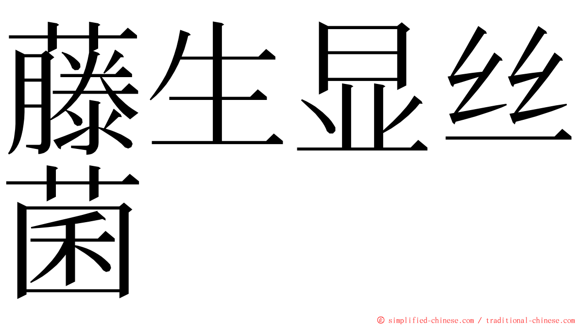 藤生显丝菌 ming font