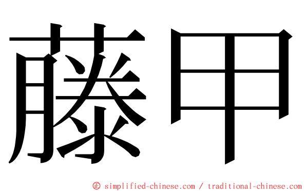 藤甲 ming font