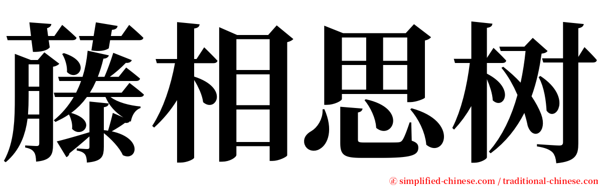 藤相思树 serif font