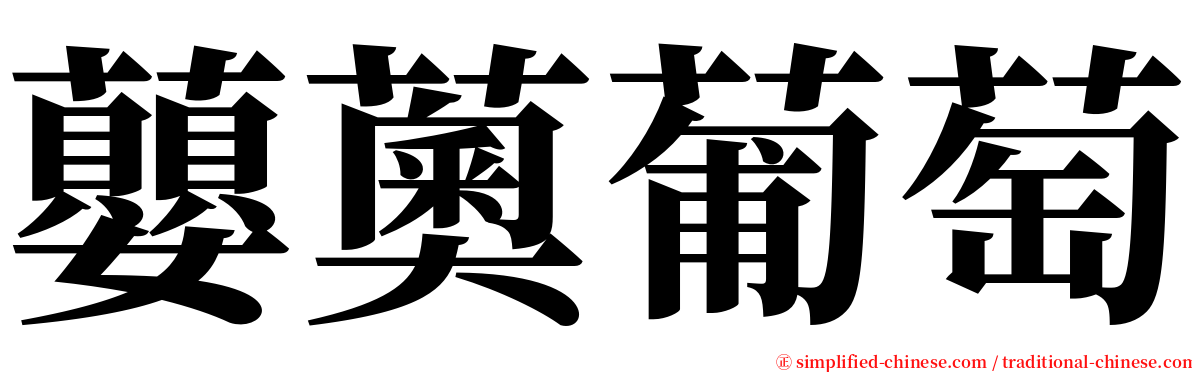 蘡薁葡萄 serif font