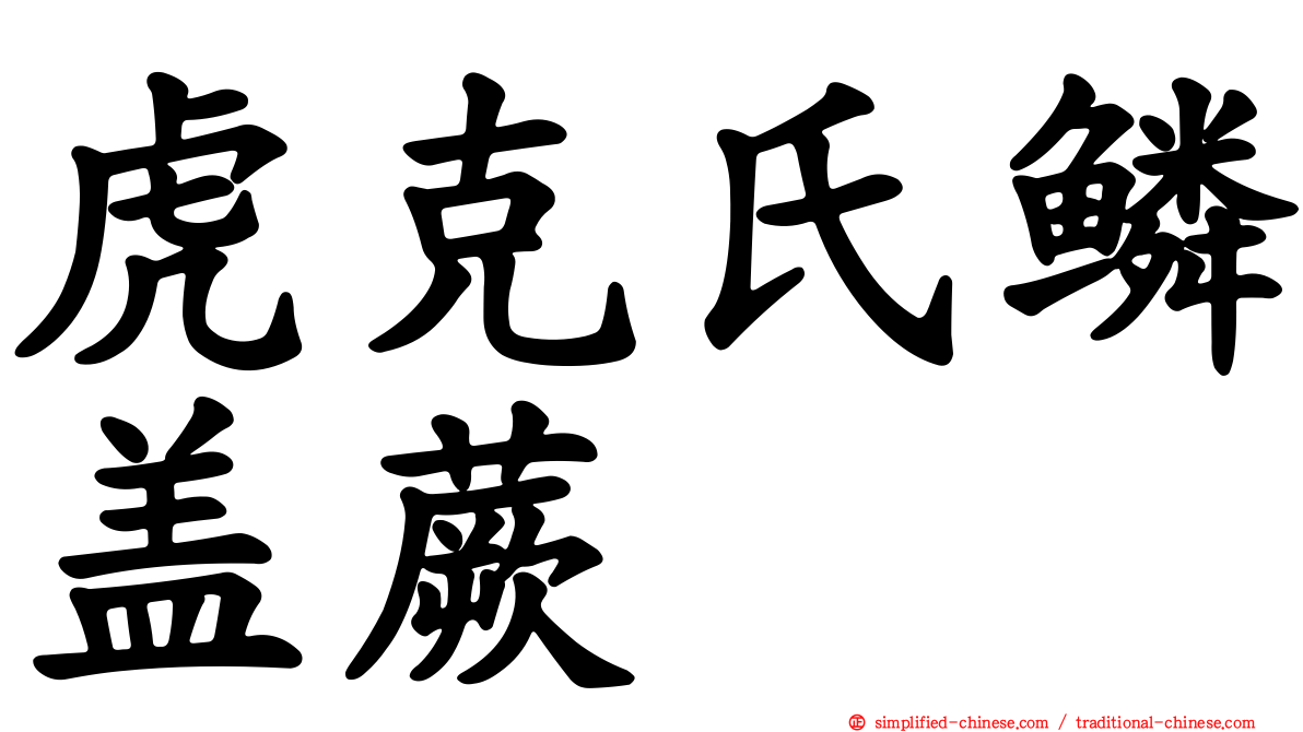 虎克氏鳞盖蕨