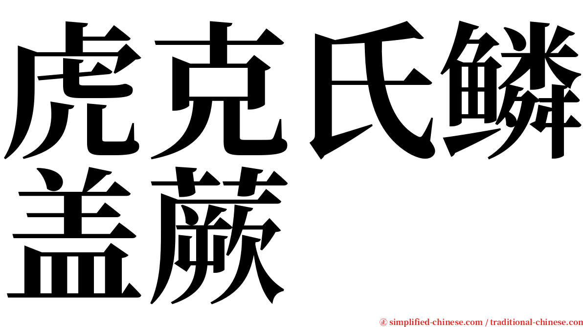 虎克氏鳞盖蕨 serif font