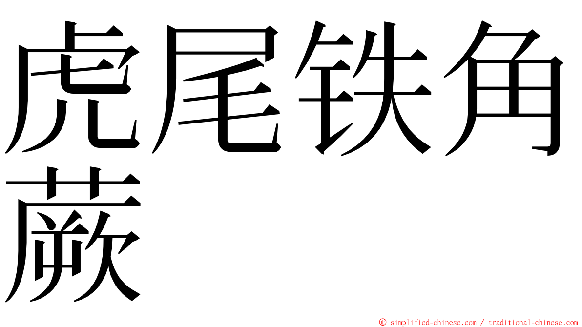 虎尾铁角蕨 ming font